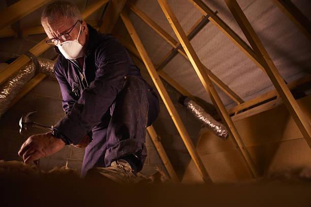 Types of Insulation We Offer in Batesburg Leesville, SC